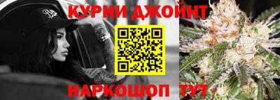 apvp Кингисепп