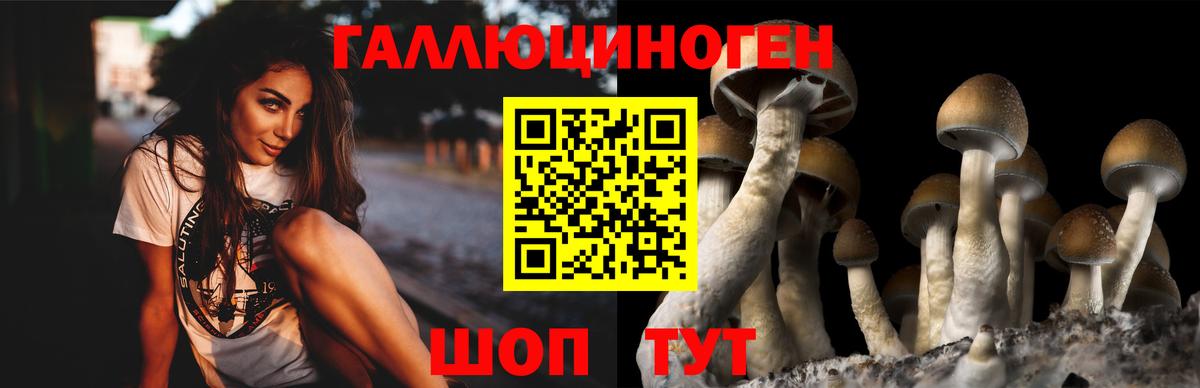 Псилоцибиновые грибы GOLDEN TEACHER  Вход с VPN  Кудымкар 